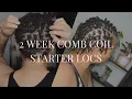 2 Week Starter Locs Update Short Comb Coil Wash Retwist