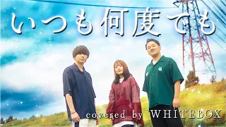 千と千尋の神隠し いつも何度でも 木村弓 Covered By WHITEBOX 