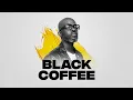Lagu Best Afro / Melodic House 2026 🎶 Deep \u0026 Hypnotic Black Coffee Mix