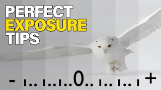 how to master exposure without technical skills 