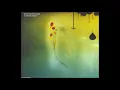 Modest Mouse - Float On Live Studio