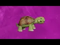 Turtle - Parry Gripp - Animation by Boonebum