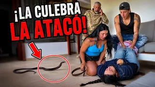 La culebra la atacó… y nadie esperaba lo que descubrieron