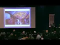 The Ross Renaissance Lessons learned from history - Maral Ouzounian