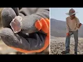 FINDING GEM OPAL ALL DAY at this mine in Nevada Royal Peacock Opal Mine