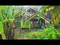 Download Lagu SUASANA PAGI YANG TENANG, TURUN HUJAN DAN KABUT DI KAMPUNG NAMBAH BETAH, PEDESAAN SUNDA JAWA BARAT