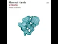 Alia's Abandon - Mammal Hands