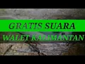 Download Lagu SP WALET PALING RESPON | SUARA WALET TV