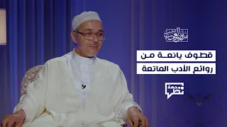 روائع الأدب وجهة نظر 5 الدكتور مبروك زيد الخير 