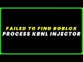 Failed To Find Roblox Process KRNL Injector How to Fix Failed To Find Roblox Process KRNL Injector