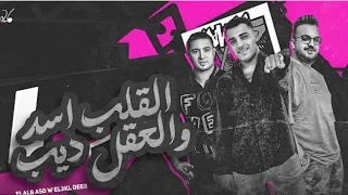 مهرجان  القلب اسد و العقل ديب  اسلام كابونجا و ميسو ميسرة ٢٠٢٥  دندنها