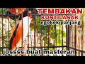 Download Lagu #pentetgacor TEMBAKAN KUNTILANAK NGEKEK PANJANG #cendetgacor #masteran #bodbodpentet #youtube