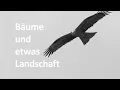 Bäume und etwas Landschaft in SW -