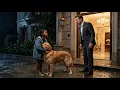 A Black Girl Returned the Billionaire s Lost Dog at Midnight What She Asked for Stunned the Room