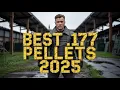 Best 177 Pellets in 2025
