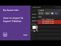 How to Import Export Palettes in After Effects - Ray Dynamic Color