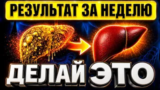 Выводим ЖИР ИЗ ПЕЧЕНИ за 6 дней! Начните делать ЭТО