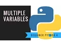 Beginner Python 4 Multiple variables