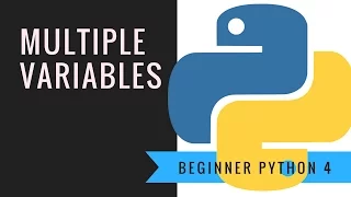 Beginner Python 4 Multiple variables