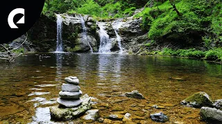 10 Hours of Relaxing River Sounds - Flowing Water and Forest Creek Ambience