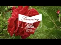 Ten Walls feat. Alex Radford - Shining