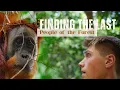 Download Lagu North Sumatra | Finding Wild Orangutans: Jungle Trekking in Gunung Leuser National Park