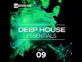 Essence of Life (Original Mix)