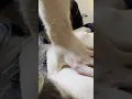 Deep Tissue Massage