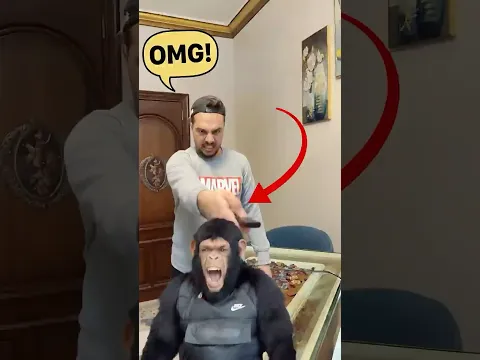 لما أخوك الصغير يحوّل كل حاجة بريموت سحري 😳