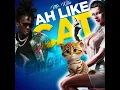 Download Lagu Mr Killa - Ah Like Cat  [ Official Audio ]  “Soca 2024”