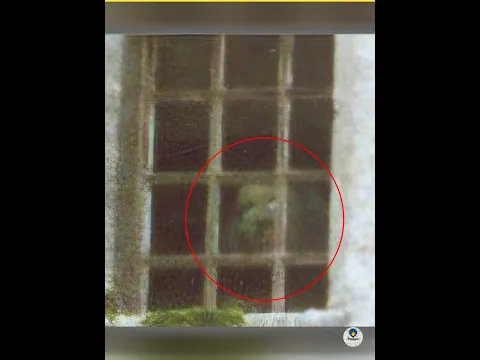 Photos that are genuinely terrifying #viral