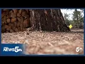 Teller County homeowners grapple with costly fire mitigation requirements