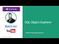 MS SQL Server - Visual Studio Object Explorer