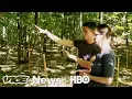 What An Artificially Heated Forest Tells Us About Climate Change HBO