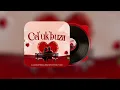 Dj Jaivane, BitterSoul, Wesley Keys & Tots SA Ft. Ciniso - Cel' Uk'buza (Audio Visualizer)