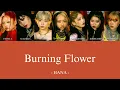 Download Lagu Burning Flower - HANA - 歌詞 歌割り 和訳 意訳 カナルビ