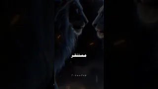 ١٢ أكتوبر ٢٠٢٥ 