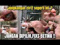 Download Lagu 100% BETINA‼️JIKA ADA CIRI2 SEPERTI INI,FIXS BUKAN JONGKANGAN JANTAN‼️