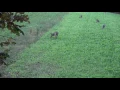 Killer s Instinct Outdoors Bow Hunt