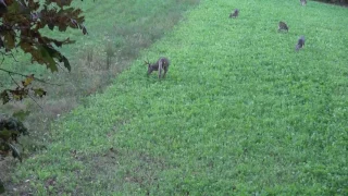 Killer s Instinct Outdoors Bow Hunt