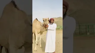 سبحان الله سبحان من تواضع كل شيء  لقدرته وخضع كل شيء  لعظمته دندنها