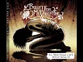 All These Things I Hate (Revolve Around Me) (Radio Edit)