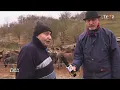 Download Lagu Contractul social și laptele de măgăriță