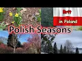 Lagu The 6 seasons of Poland - A guide to Polish weather throughout the year