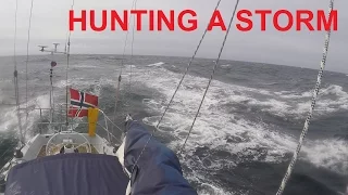 HUNTING A STORM
