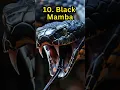 Download Lagu Top 10 Most Dangerous snakes in the world