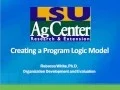 Program Logic Models