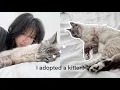 I adopted a kitten getting supplies first day