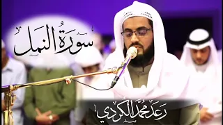 تلاوة رائعة للقارئ رعد محمد الكردي سورة النمل كاملة 
