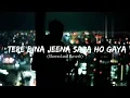 Download Lagu Tere Bina Jeena Saza Ho Gaya(Slowed+Reverb)-Tej Gill|ROOH|With Lofi Remake|Punjabi Song|Last Lo-fi🖤